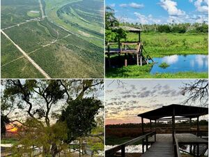 (9) Ranch of 7,686 has. near Fuerte Olimpo, Chaco