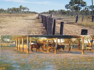 (13) farm of 8403 has Hayes Department, forth zone