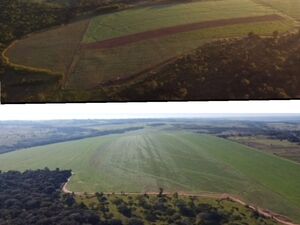(14) Cattle Ranch of 420 has in Yasy Cany Paraguay