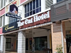 Sunsuria avenue Kota damansara ofice lot for rent