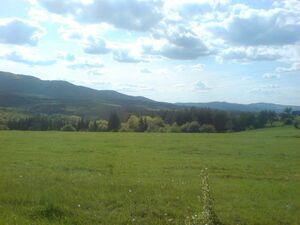 A regulated plot for sale in the Mineral Springs area