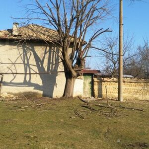 Old rural property with plot of land situated near forest