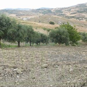 House and land in Sicily - Pullara Cda Petraro