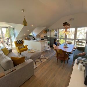 3-room attic apartment EBK terrace limited For Rent