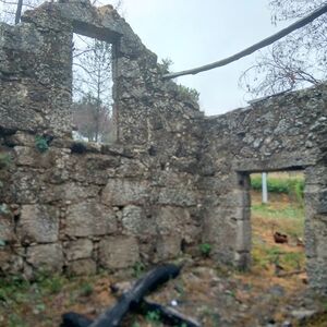 Stone ruin, 1ha land, orchard, woodland, stream, spring +!!