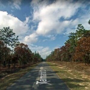 0.24 acre lot for sale in Dunnellon, Florida