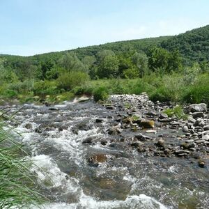 Building Land for sale 100 meters from small river in Pictur