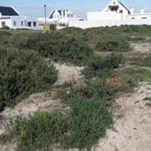 Vacant Land / Plot for Sale in Dwarskersbos 