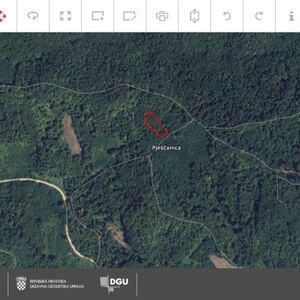 Small forest farming land