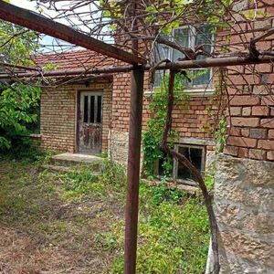 village of Senokos, 18 km from Dobrich and 16 km from Balchi