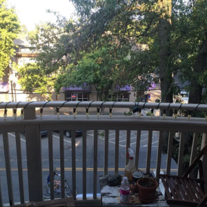 Very large 1Bedroom Home for family