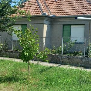 I am selling a house in the center of Perleza-Zrenjanin