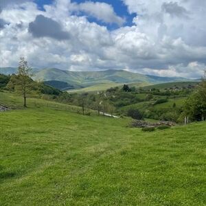 Land for sale in Zlatibor