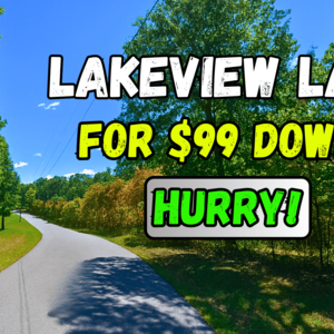 Your 0.27 Acres Lakeview Retirement Lot For Just $99/Down