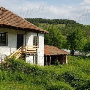 Mountain Home In Bulgaria Next To A Pinewood Forest