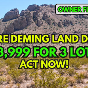 RARE 3 Adjacent Land Alert! 1.53-Acre Land for JUST $99/Down