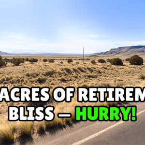 Buy 1.25 Acres in Arizona for Just $47 Down Payment! 