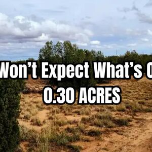 Your slice of peace, space, freedom is in Putnam County FL