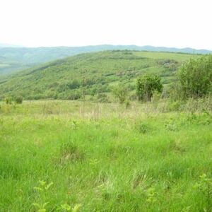 Building plot Temenouga