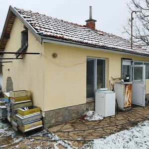 One-storey house for sale with many fruit trees 