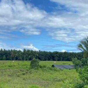 For sale farm lot in Agusan del sur, Philippines 