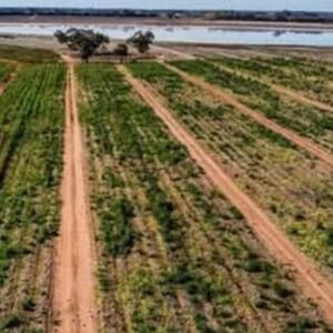 For sale farm lot in Australia 