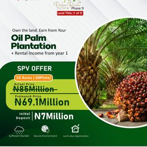 Palmrich Phase 9 SPV Offer