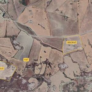 Land in Sicily - Alfano Cda Assolicchialora