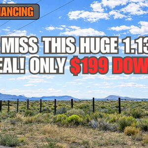 $199/Down Gets You HUGE 1.13 Acres of Elko Land. Buy It Now