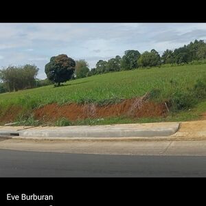 Farm lot in bukidnon 