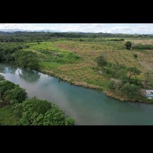 Farm lot in sto. Tomas, Davao del Norte 