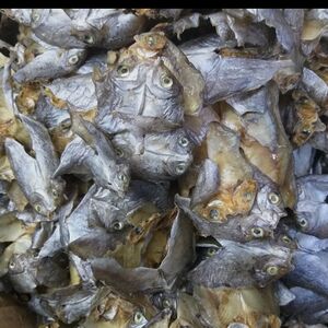 Dried fish in Tagum City 
