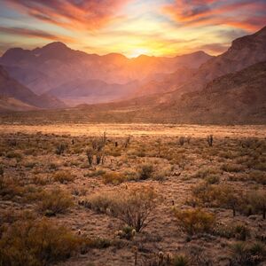 Grab Your Luna, NM 0.53 acre Land For Just $47/Month