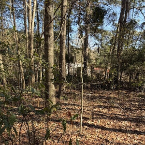 0.77 Acre Lot for Sale in Jasper County SC