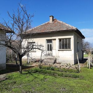 Old rural house with annex and land located near the Danube