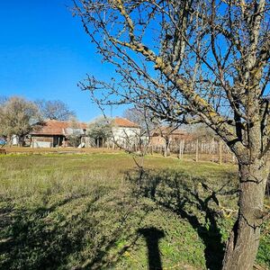 House with Great Potential and Large Plot 