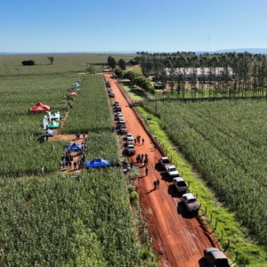  4300 has near Rio Verde Santa Rosa del Aguray