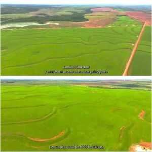 6555 has Ytanara dep. de Icanindeyu