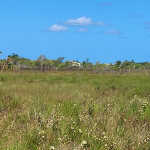  RARE One Acre Lot in Independence