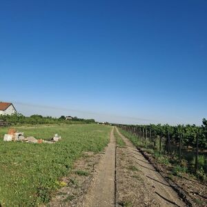I am selling a plot in Bečmen-Belgrade