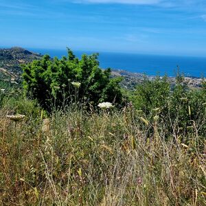 sh 868, land plot, Termini Imerese, Sicily