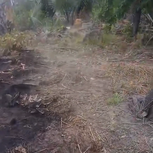 2 plots for Sale 