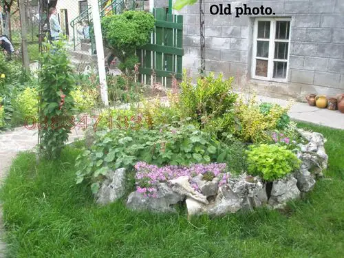 Old image of garden