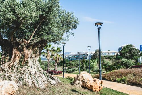 urbanización - entorno