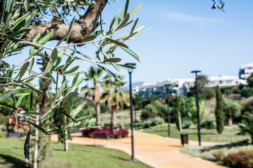 urbanización - entorno