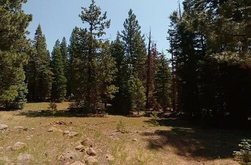 A picture from a place ne