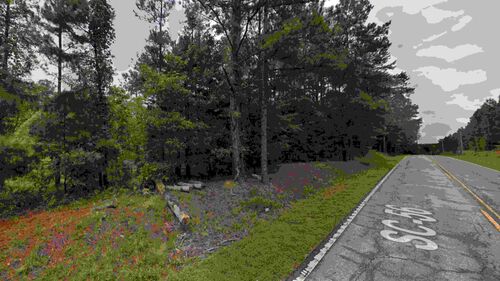 Hwy 56, Clinton, SC, 2932