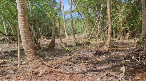 North Sipora, Mentawai