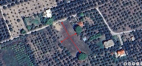 Zacharo Plot 4