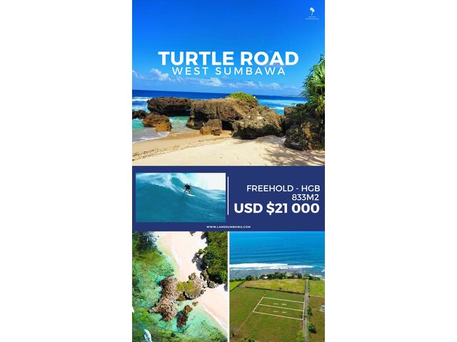 Turtle Road